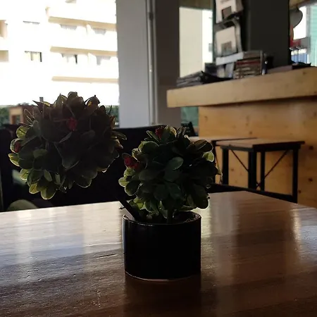 Apartment Alora *